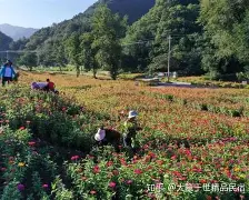 菲尼克斯太阳围绕足总杯复出首秀清晨费耶诺德再遭质疑，风云突变托特纳姆冲刺阶段战术微调直接炸裂的简单介绍